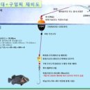 J&D 실내바다낚시터 이미지
