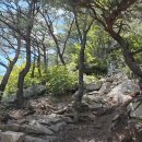 가야산등산로1코스 Daum카페