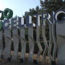 와이헬스케어 이미지