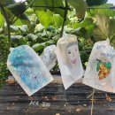 향기포도농원 이미지