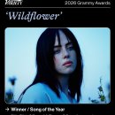 [그래미 어워드] 올해의 노래상 : WildFlower, 빌리 아일리시 이미지