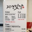 자연빛깔 네이버블로그