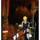 천곡농장 이미지