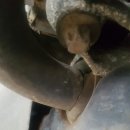 고양자동차클럽 이미지