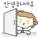 용인대 최봉준 태권스쿨 태권도장 이미지