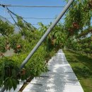 마루농장 이미지