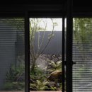 하월라잇 | 제주 동쪽 신상 독채 자쿠지 펜션 ' 하월라잇 hawollight ' 월정리 해변 근처 감성 숙소 추천