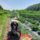 6월셋째주 토.일 감포도량 소식 이미지