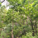 다남의원 이미지