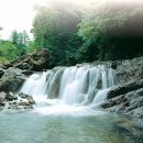 샘양지마을 이미지