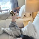 GS25(통영바다점) | 굴 못 먹는 사람이 굴찜 먹으러 흥영 다녀온 후기
