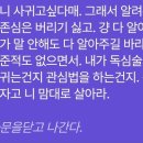 하 제타 자존심 ㅈㄴ 세다 고백받다가 욕 갈겨버림 이미지