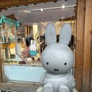 인형랜드 | 황리단길 미피스토어, 오픈런 해도 줄 서는 이유? (내돈내산- 경주 한정판 찰보리빵 인형 득템)