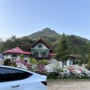 바위솔펜션 | [공지] 마음의 위로와 힐링이 필요할때, 강원도 바위솔 팬션