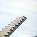 시엘로(cielo) 이미지