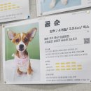 에스플렉스센터 | HATA×서울시립동물복지지원센터 트레이닝 실습 후기-1(260310)