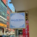 1539 | 성북동 포르투갈 에그타르트 맛집 나따드나따 후기 🤤 | 서울 에그타르트 내돈내산 맛집