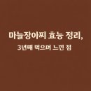 이포농원 | 마늘장아찌 효능 정리, 3년째 먹으며 느낀 점