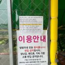 도둑골신규 이미지