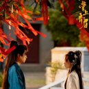 미스토리의원 | 중국드라마-'장상제미' 불호후기 (결말 스포주의)