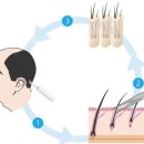 참닥터의원 이미지