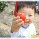 준성농장 이미지