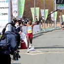 웨트 뉴시스