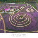 신소양체육공원1 이미지