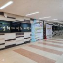 경희대선호태권도 네이버블로그