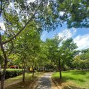 일곡 제1근린공원 이미지