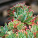 대전두리초등학교 이미지