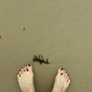 다은 민박 이미지