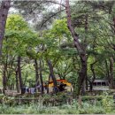 금강모치 화장실 이미지