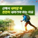 산에서 내려갈 땐 이미지