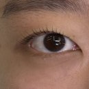 이지뷰티 - 동대문구 | 이지뷰티 속눈썹펌 방문 후기 - 장안동 속눈썹펌의 완벽한 선택! [이지뷰티]