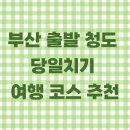 청도축산농협축산물프라자 | 부산 출발 청도 당일치기 여행 코스 추천｜운문사·트랙 러닝·온천·한우국밥·감성 책방까지!