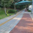 평택시 배다리저수지3 이미지