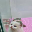 무양한의원 이미지