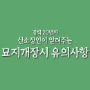 늘푸른장
