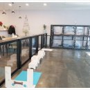 이재룡의 뭉개뭉개 유치원 이미지