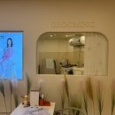 일산애견 이미지