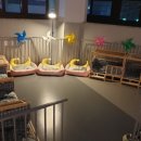 댕댕댕 애견유치원 이미지