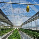 김포 자연 농장 이미지