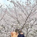바보형제쭈꾸미간절곶점 이미지