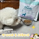 펫츠다이닝(pet's dining) 이미지