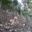 창원애독 이미지