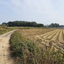 세도면화수리보건진료소 네이버블로그
