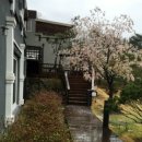 홍천펜션아이리스 이미지