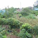 보길면-3 이미지