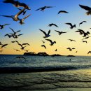 해뜨는풍경 이미지